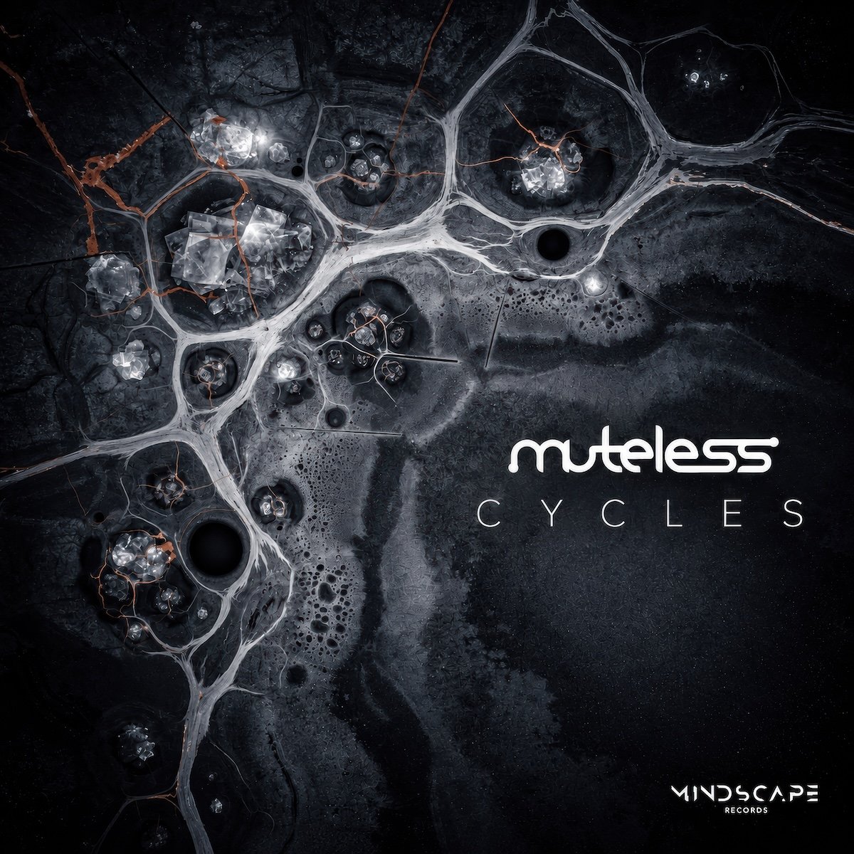 Cycles
